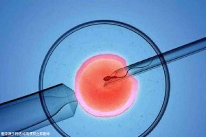 暖阳生殖医学中心